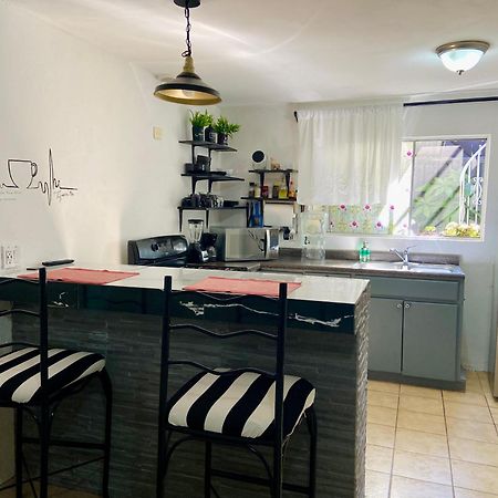 Zebra Studio Tijuana Extérieur photo