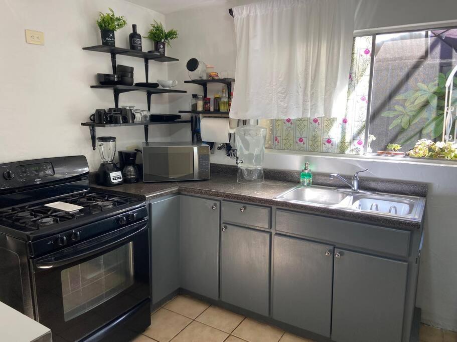 Zebra Studio Tijuana Extérieur photo