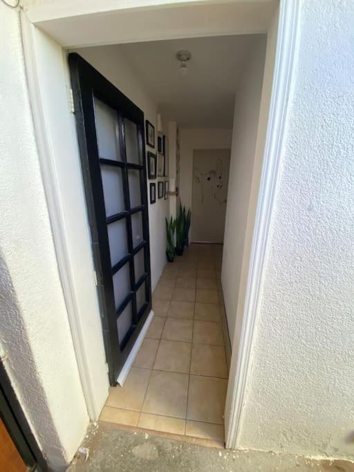 Zebra Studio Tijuana Extérieur photo